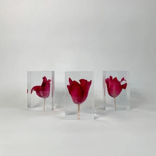 薔薇チューリップステンド背景アクリル表札＊4辺45度斜め