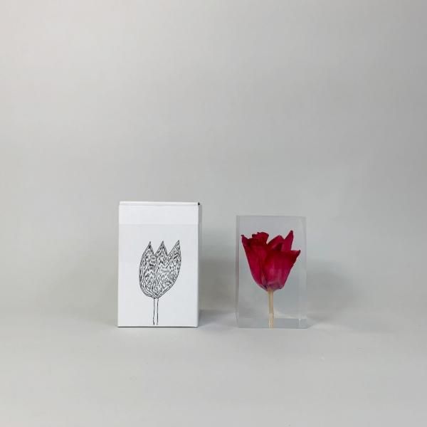 T*u様 【希少品】THE TULIP COMPLETE 1976 チューリップ Amazon.co.jp: ライブ!!アクト チューリップ 1976 HAKATA