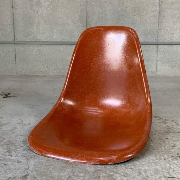 Side Shell / Terra Cotta