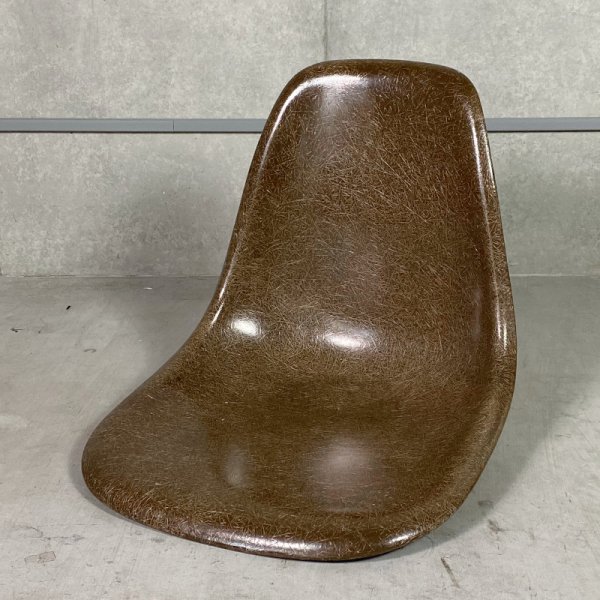 Side Shell / Seal Brown
