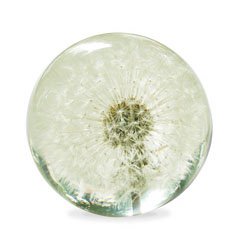 Paperweight / Hafod Grange<img class='new_mark_img2' src='https://img.shop-pro.jp/img/new/icons5.gif' style='border:none;display:inline;margin:0px;padding:0px;width:auto;' />