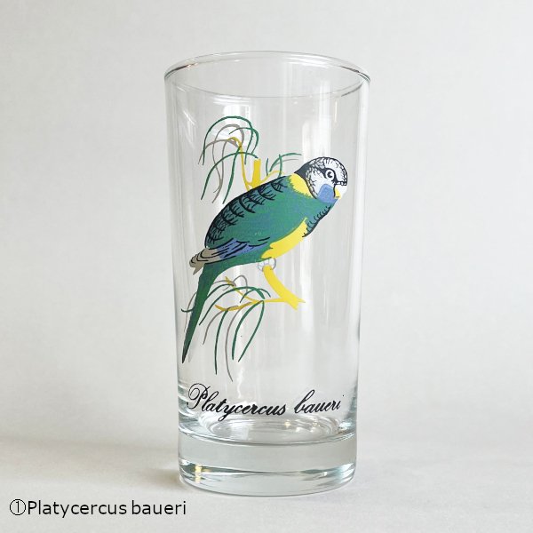 Printed Bird Tall Glass / Vintage