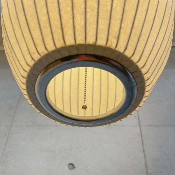 Bubble Lamp Cigar Medium / Howard Miller - MID-Century MODERN