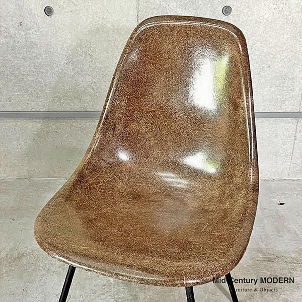 Side Shell / Seal Brown