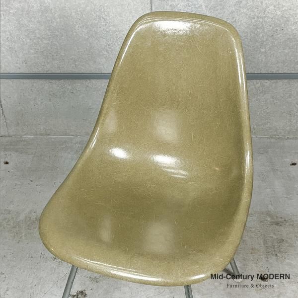 Side Shell / Raw Umber