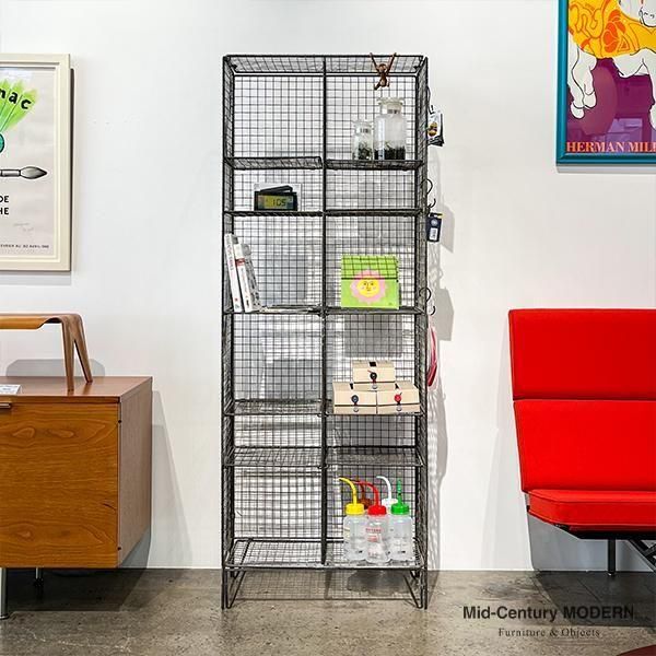Storwell Gym Bookcase / LOSTINE / ̲ 