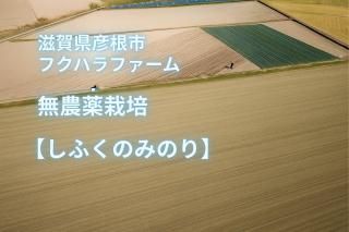 Իѡۡ£ǯٻ/ơ<br>츩ɧԥեϥե<br>̵դΤߤΤ<br>Իѡͭ100<br>2kg/5kg/10kg/30kg