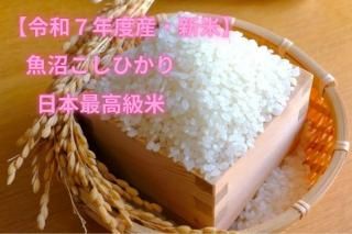 £ǯٻơ<br>
㸩 ¤Ҥ<br>ܺǹ<br>
2kg/5kg/10kg/30kg