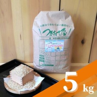 긩 ƣˤΥҤȤܤ̺ơۡ5ǯٻ5kg