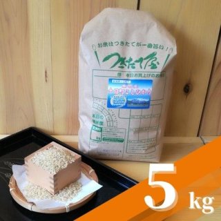 新潟県産 魚沼十日町こしひかり【令和5年度産】5kg