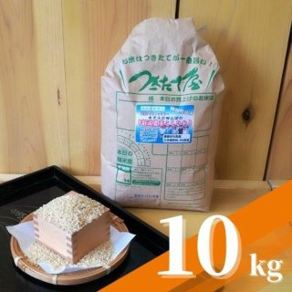 高知県産 富家ライスファミリー 8割減農薬米コシヒカリ【特別栽培米】【令和5年度産】10kg