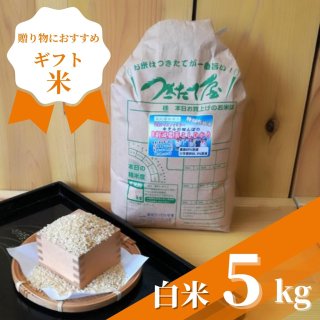 高知県産 富家ライスファミリー 8割減農薬米コシヒカリ【特別栽培米】【令和5年度産】ギフト米（５kg）