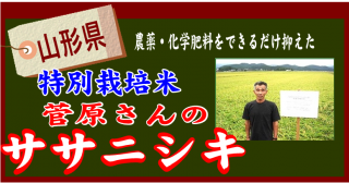 褤о졪<br>̺ơ<br> Υ˥£ǯٻ<2kg/5kg/10kg/30kg>