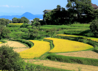 £ǯٻơ<br>츩 ṾҤ<br>2kg/5kg/10kg/30kg