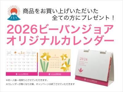 MKリッチホワイト《ジェルクリーム》35g - ビーバンジョア健康肌化粧品