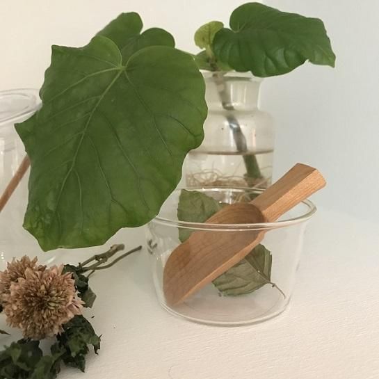 木のカトラリー｜渡邊浩幸 ティースコップ｜hounoki