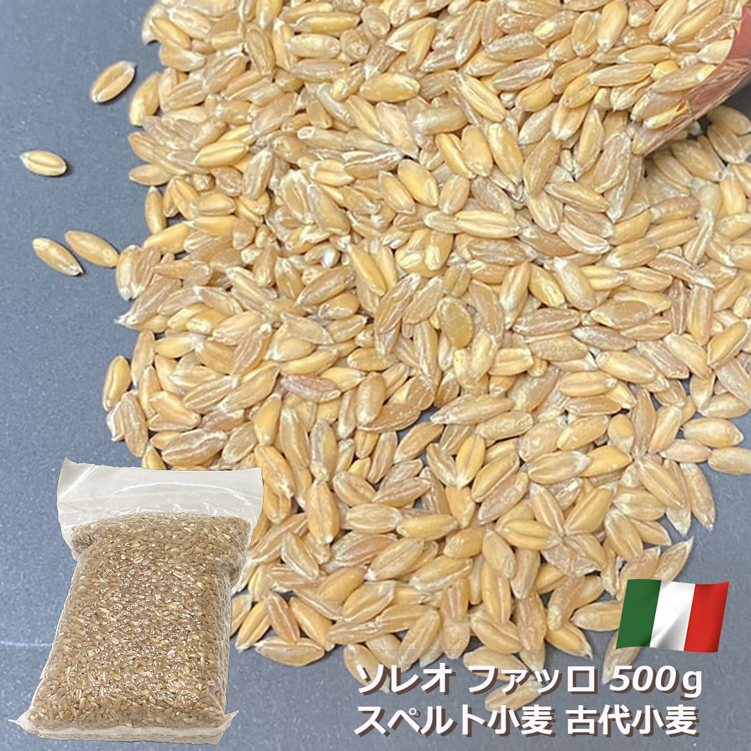 ソレオ ファッロ 500g イタリア カンパーニャ産 スペルト小麦 古代小麦 サラダ スープ 穀物