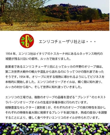 料理に最適なオリーブオイルなどのイタリア食材通販ならイタリア