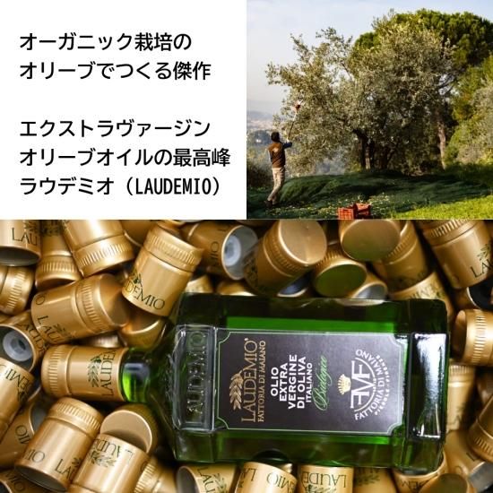 ファットリア ディ マイアーノ エクストラヴァージン オリーブ