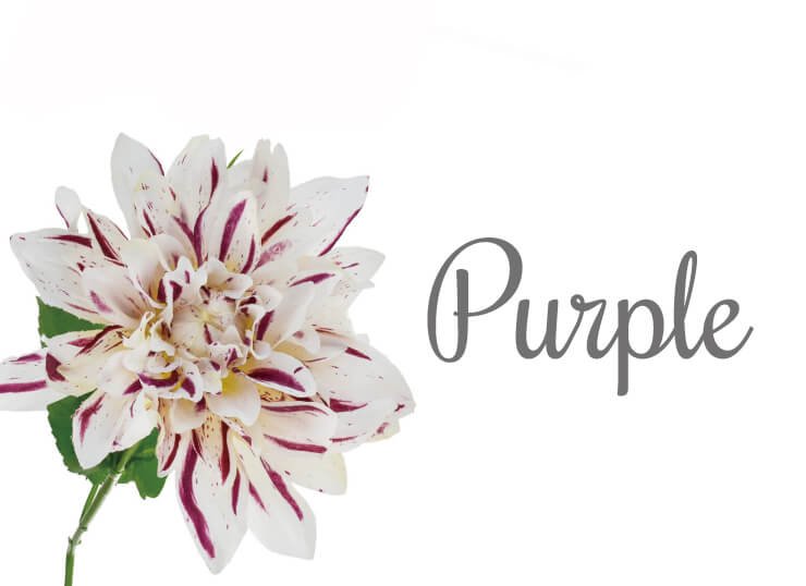パープルカラー紫色の造花を1本から販売してます。