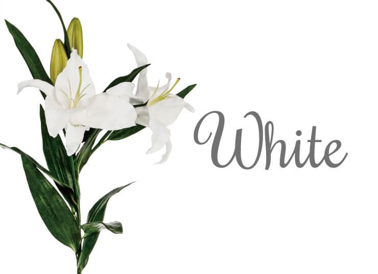 ホワイトカラー白色の造花を1本から販売してます。