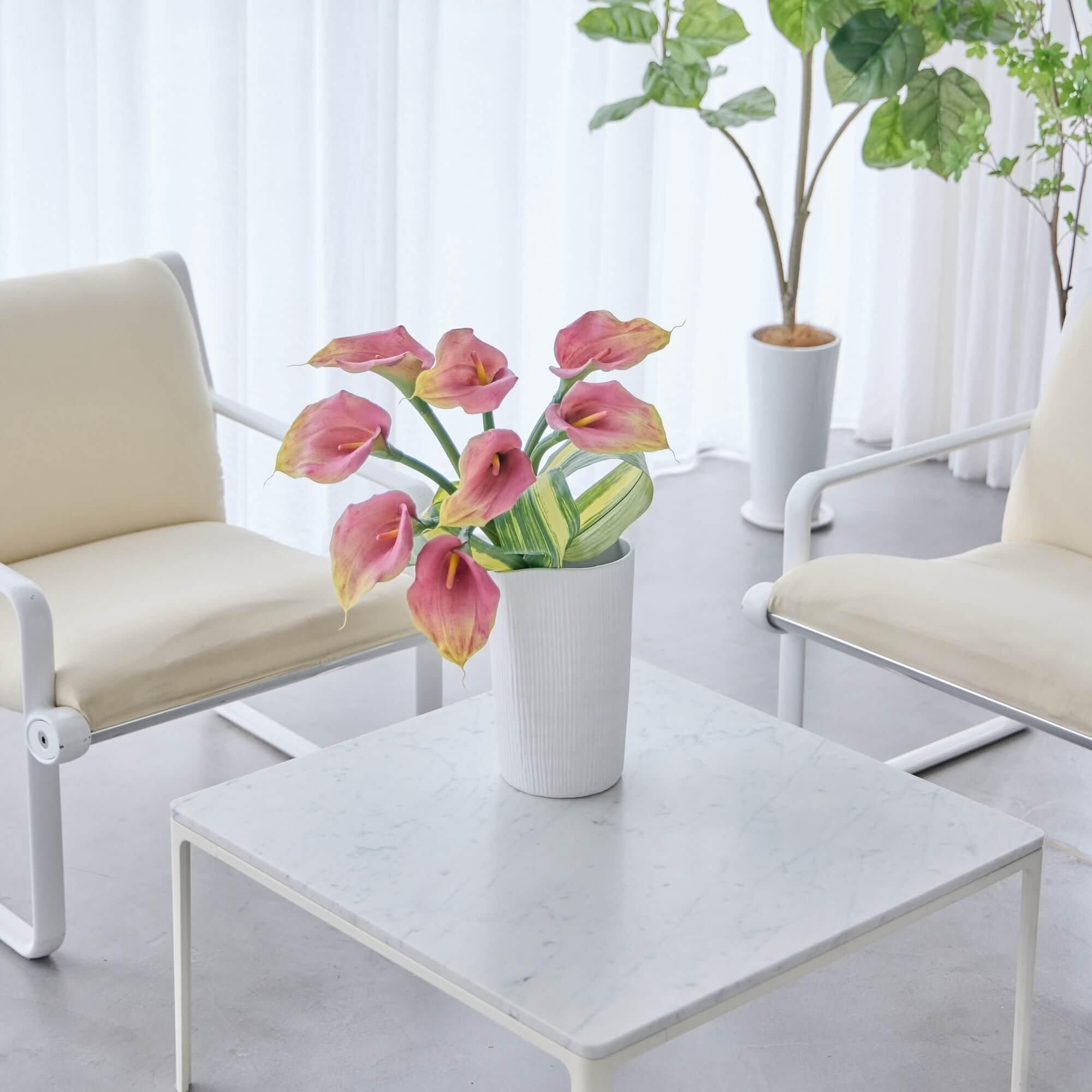 ץ顼ۥ磻H27cmִӥե١