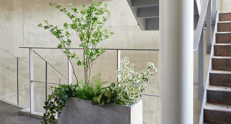 ドウダンツツジ│フェイクグリーン・造花専門店プリマ 通販