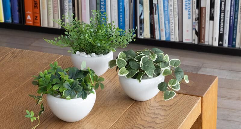 フェイクグリーン（人工観葉植物）商品一覧│フェイクグリーン・造花