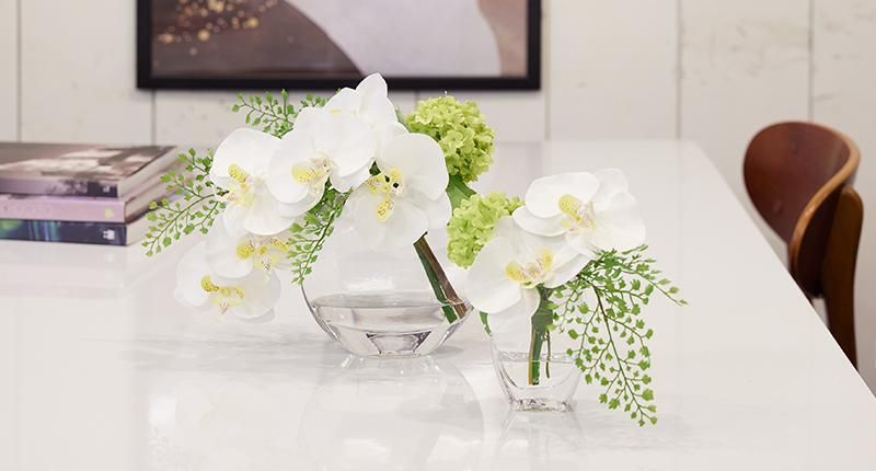 胡蝶蘭│造花・フェイクグリーン専門店プリマ 通販 胡蝶蘭│造花・フェイクグリーン専門店プリマ 通販