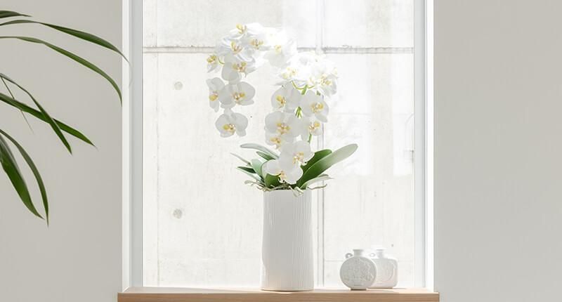 胡蝶蘭│造花・フェイクグリーン専門店プリマ 通販 胡蝶蘭│造花・フェイクグリーン専門店プリマ 通販