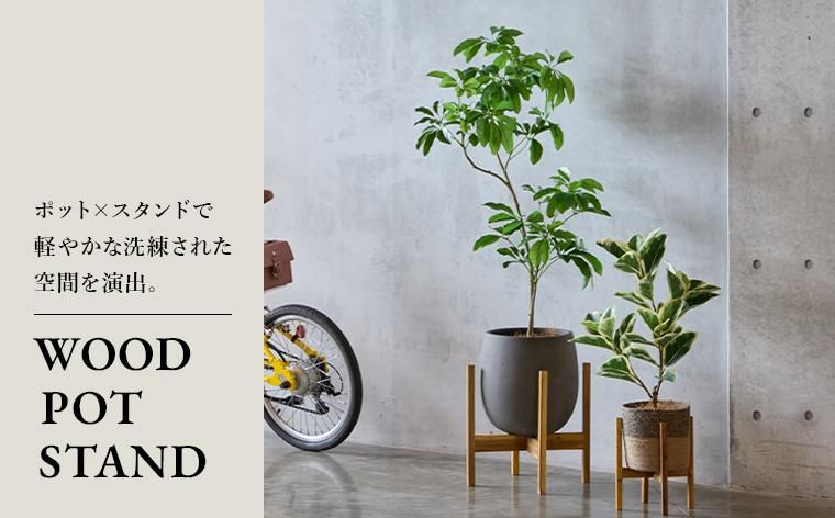 ディフェンバキアの観葉植物 フェイクグリーン | 造花専門店プリマ