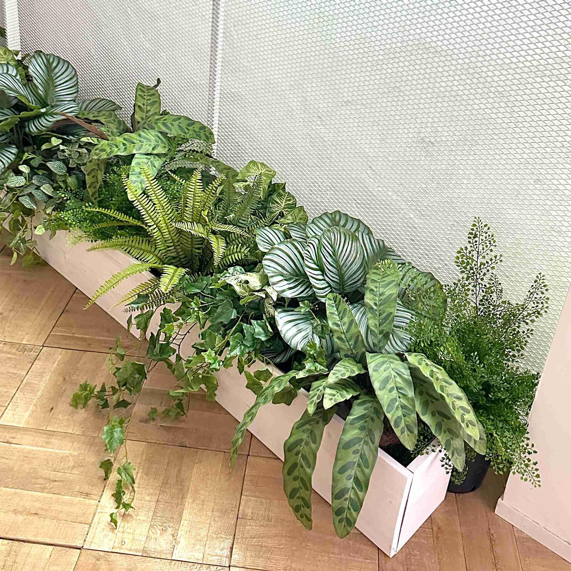ƥ ʡݥå տʪ ե꡼ eco
