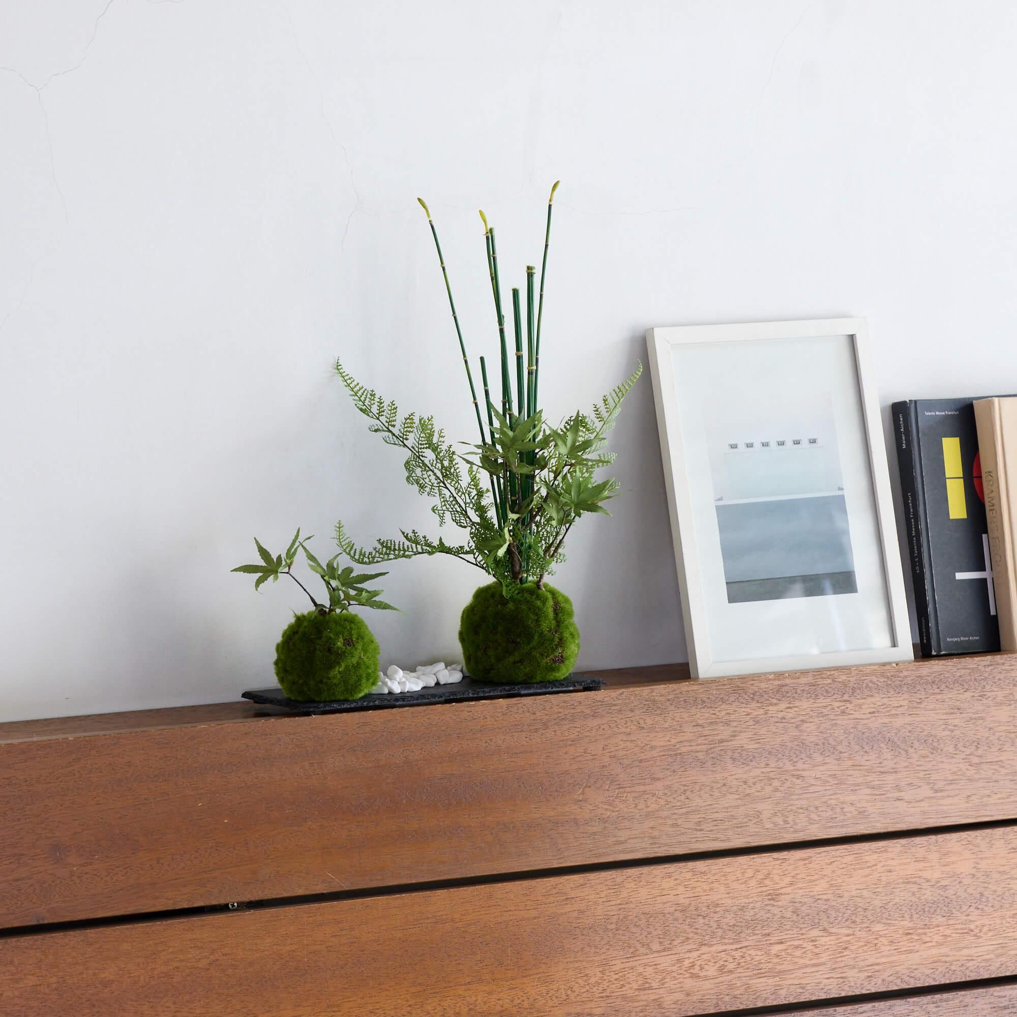 ��ߥ� �󤻿����ݶ� ���仮