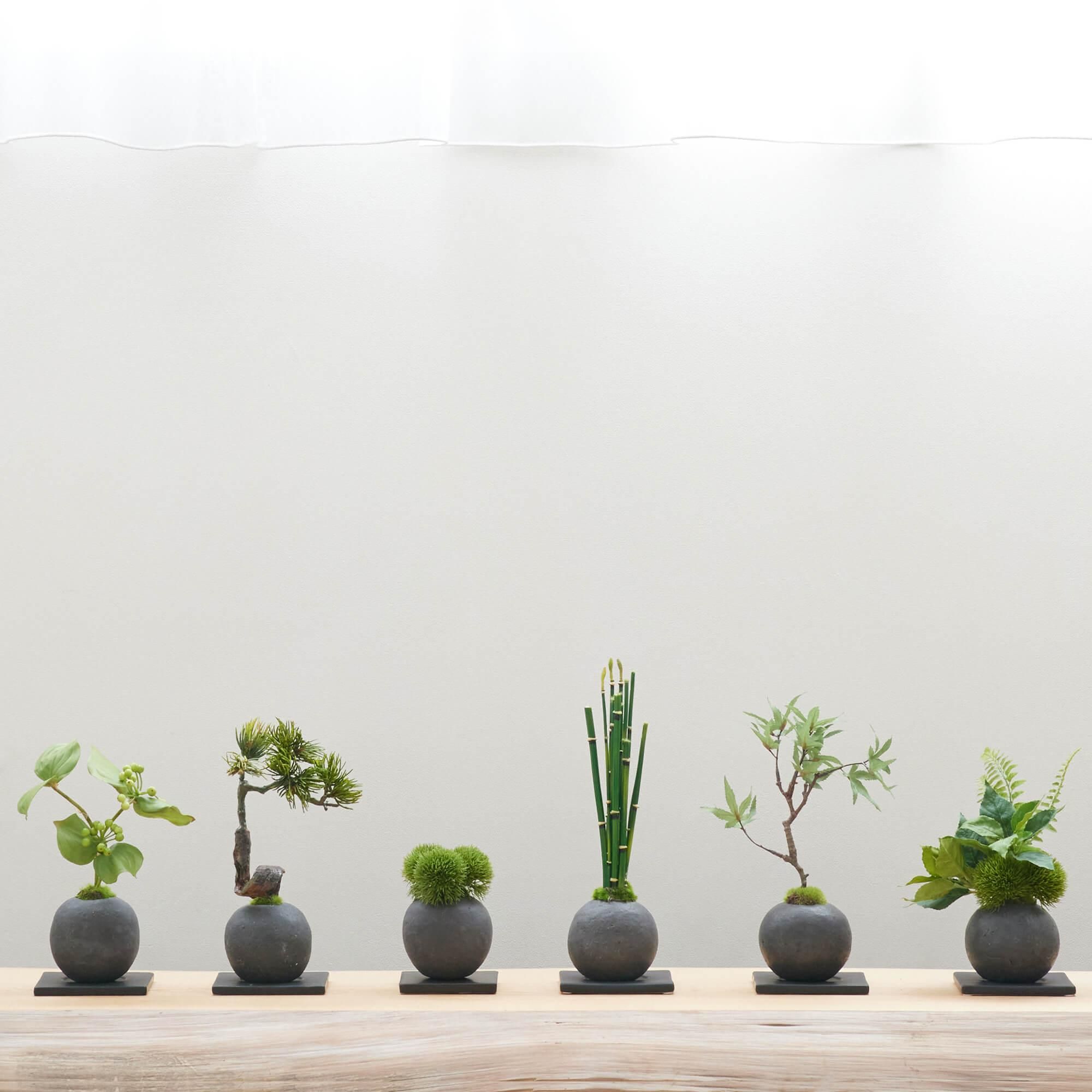 トクサ 檜炭ボール フェイク盆栽 カップボン | 造花専門店プリマ