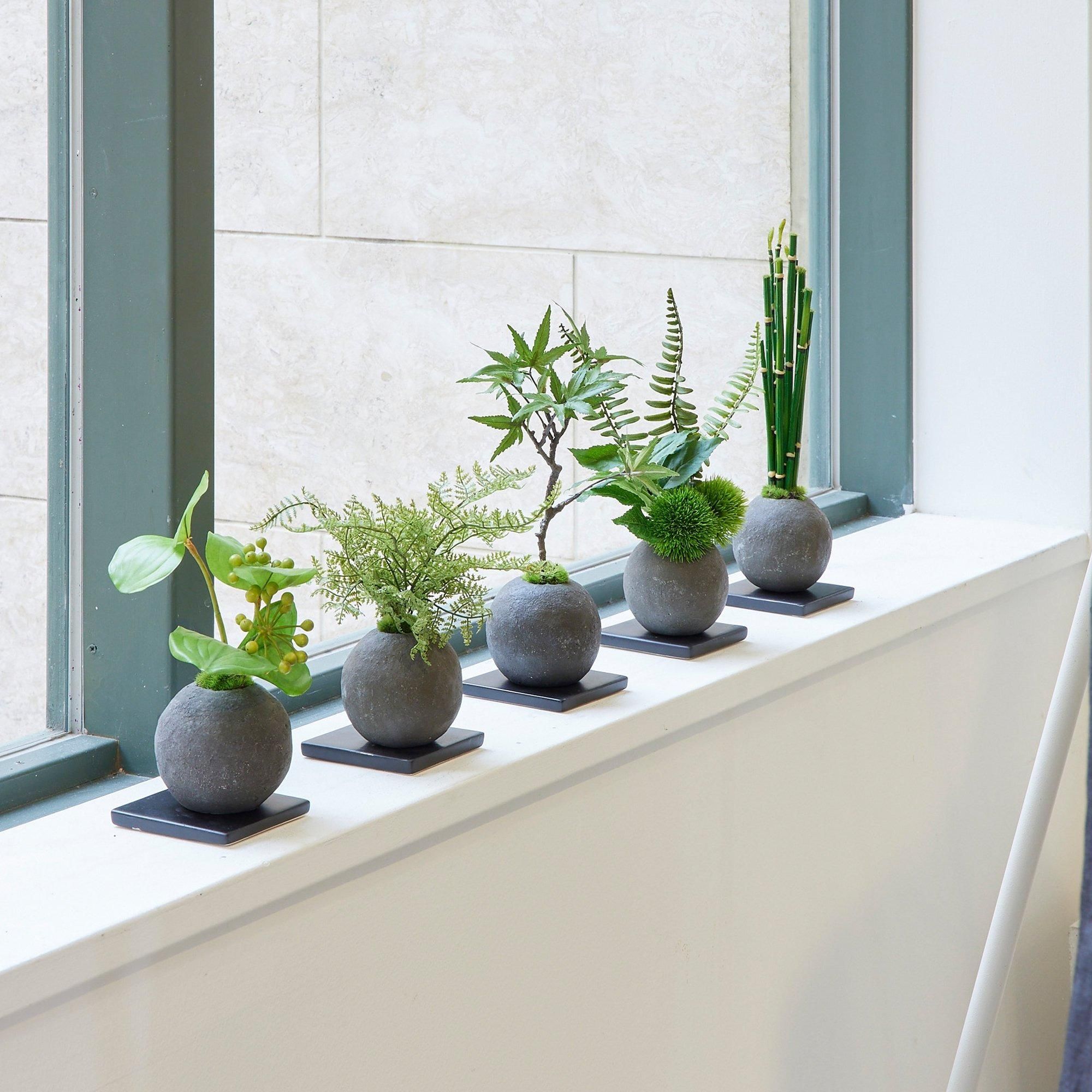 トクサ 檜炭ボール フェイク盆栽 カップボン | 造花専門店プリマ