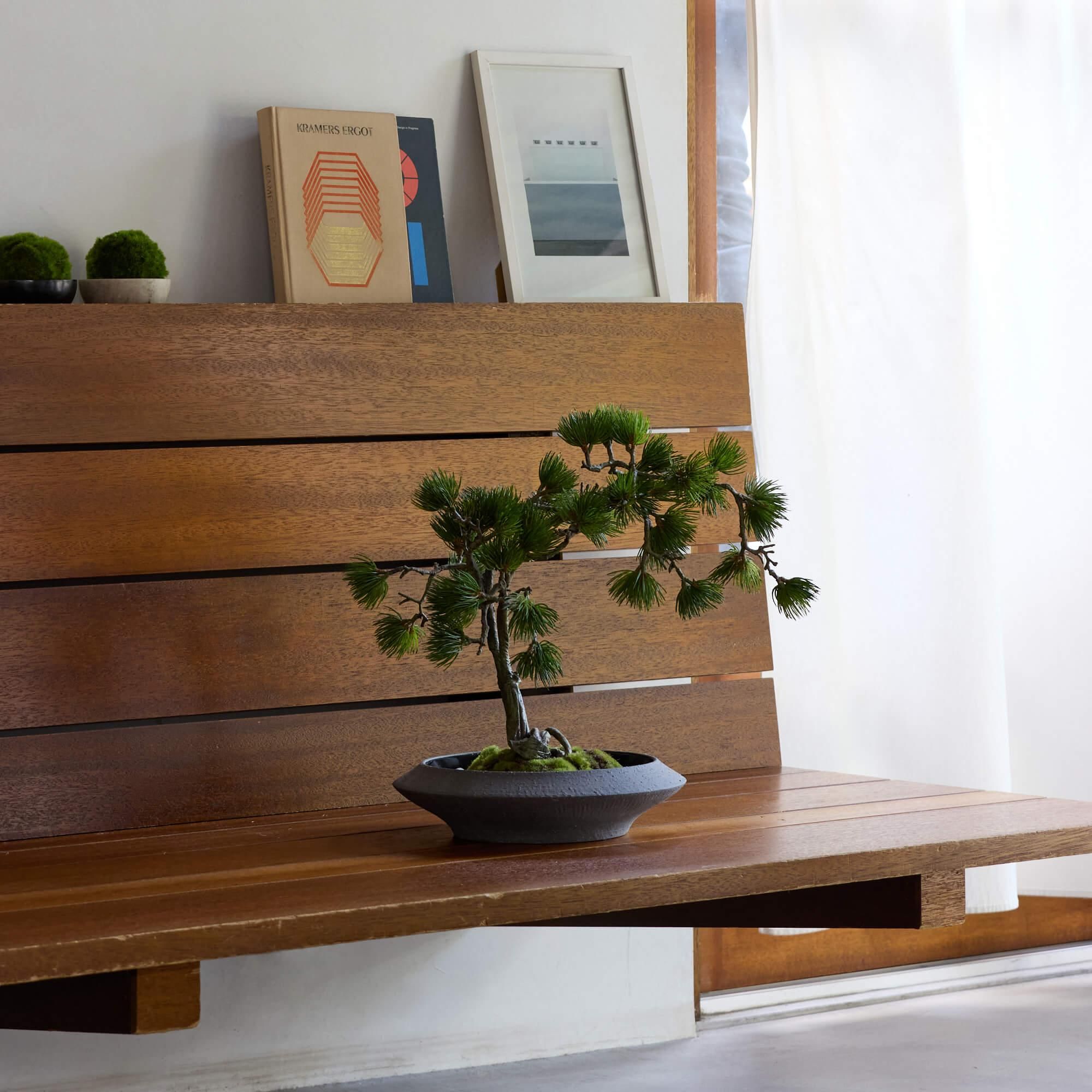  ߺ ʿ CUPBON ߺ ե꡼