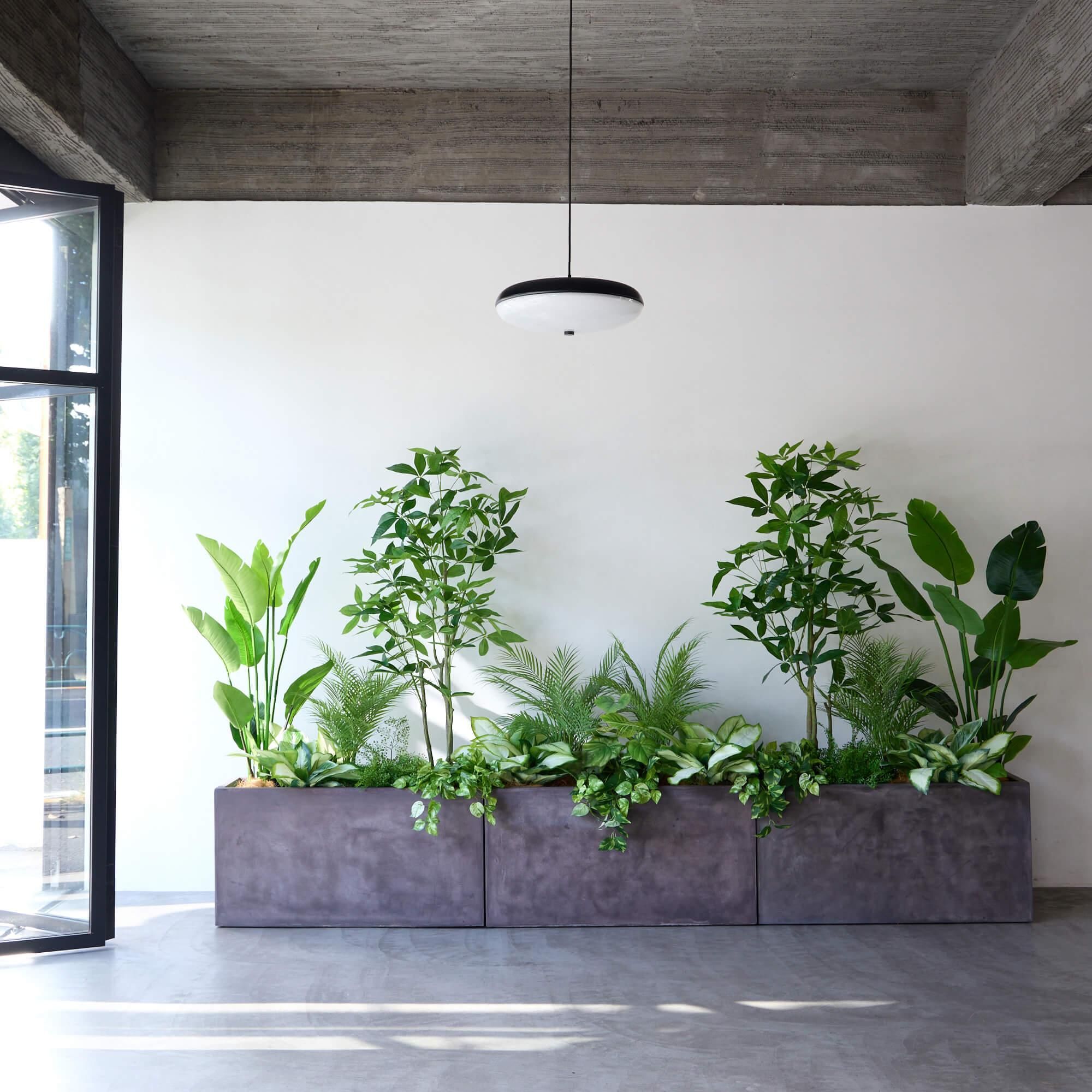 ߥåN ƥ W100cm տʪ ե꡼ Ҹľʡ