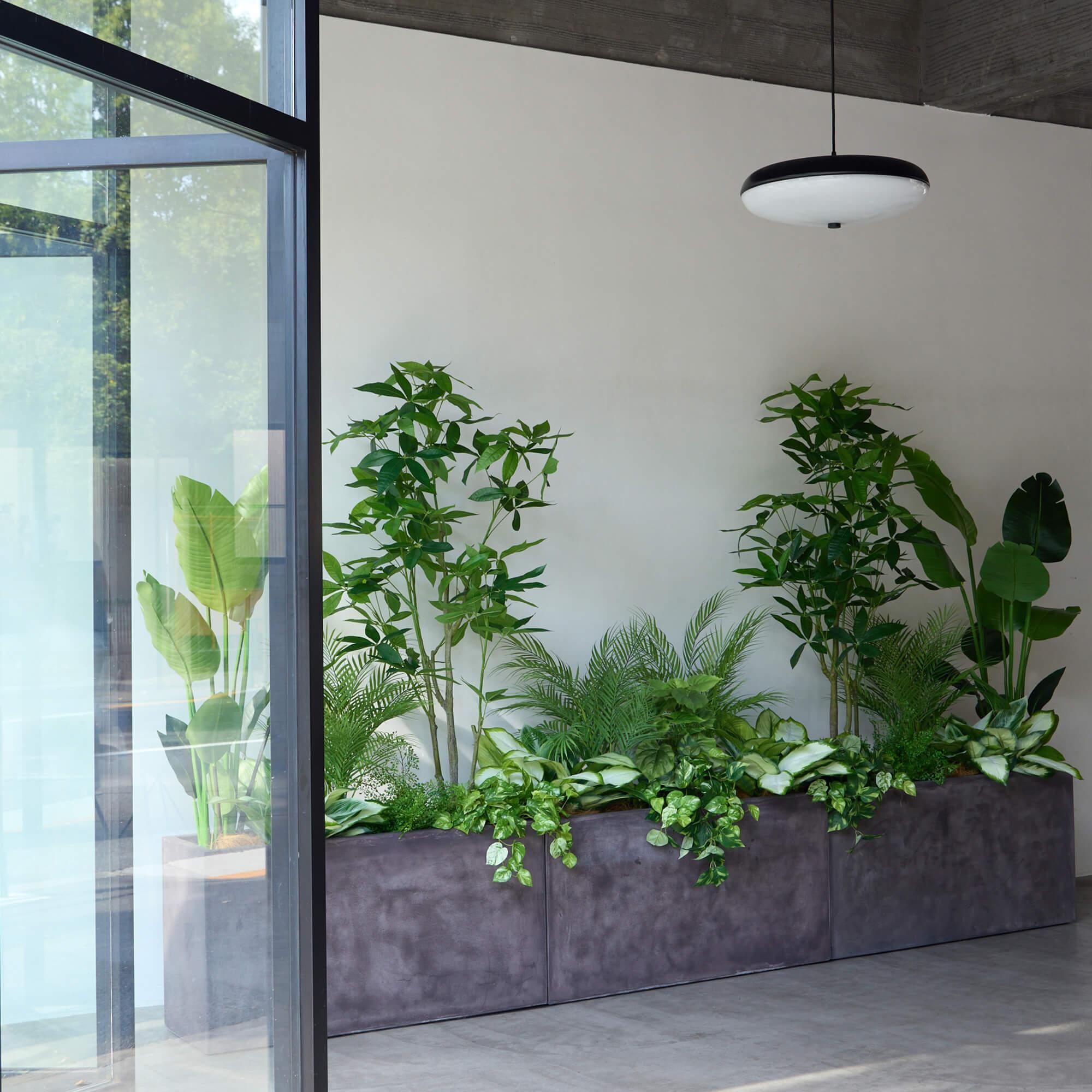 ߥåL ƥ W100cm տʪ ե꡼ Ҹľʡ