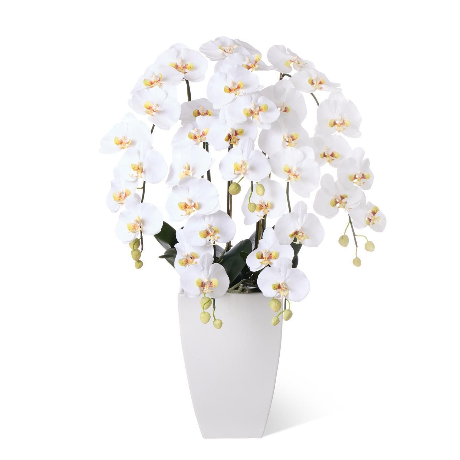 ĳ5Ω ƫ ¤ ե󥸥 