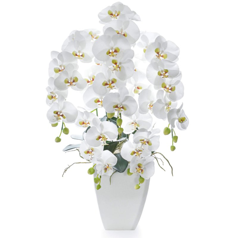 胡蝶蘭5本立ち 白陶器 造花 フラワーアレンジメント 