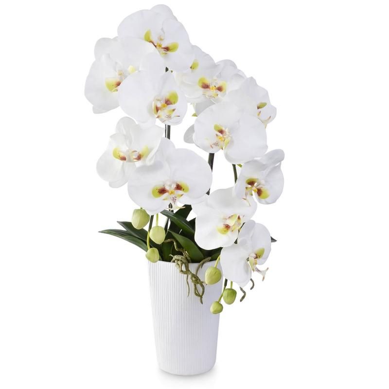 供花 仏花 胡蝶蘭 フラワーアレンジメント | 造花専門店プリマ