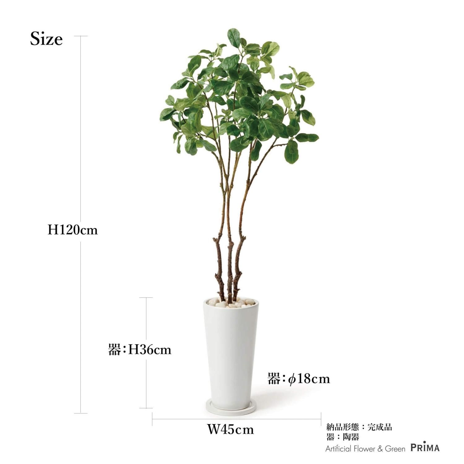 GREENPARK マグノリア H120cm 観葉植物 フェイクグリーン ２ マグノリアリーフの観葉植物 フェイクグリーン | 造花専門店プリマ