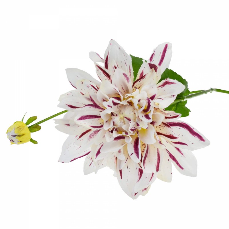 ダリア ホワイト×パープル 単品花材 造花 アーティフィシャルフラワー 