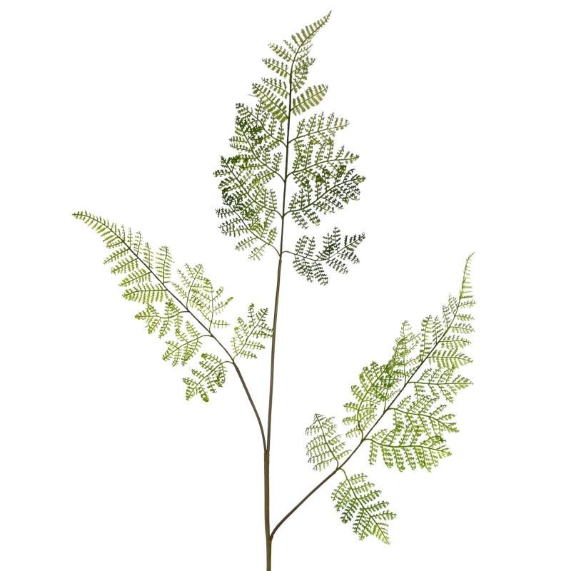 ⭐︎リアル　シダなど 楽天市場】【ポイントUP】【公式】シダ レムリアポット H210cm 観葉