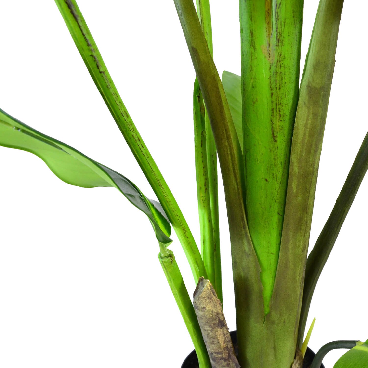 ストレリチア スリムプランター H155cm 観葉植物 フェイクグリーン 【当日出荷】