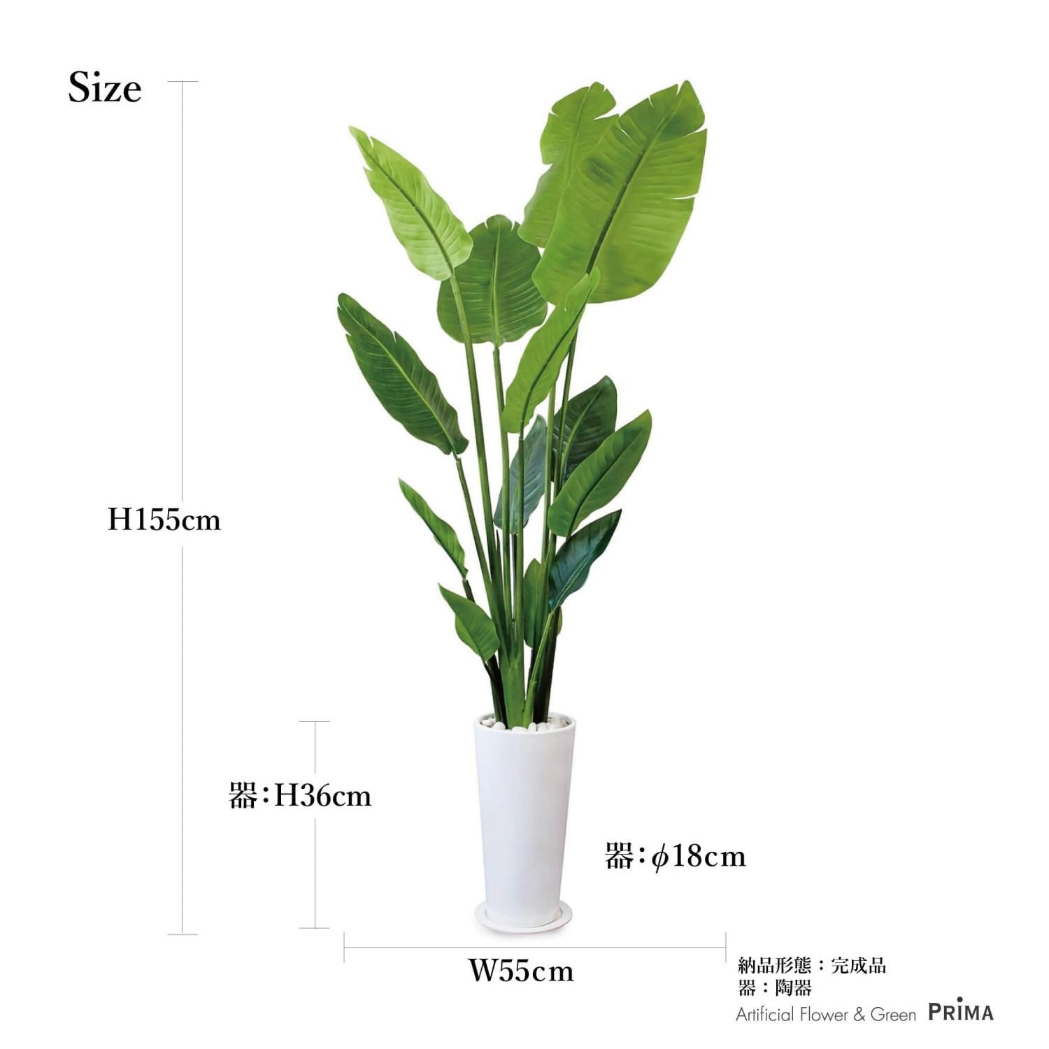 ストレリチアの観葉植物 フェイクグリーン | 造花専門店プリマ