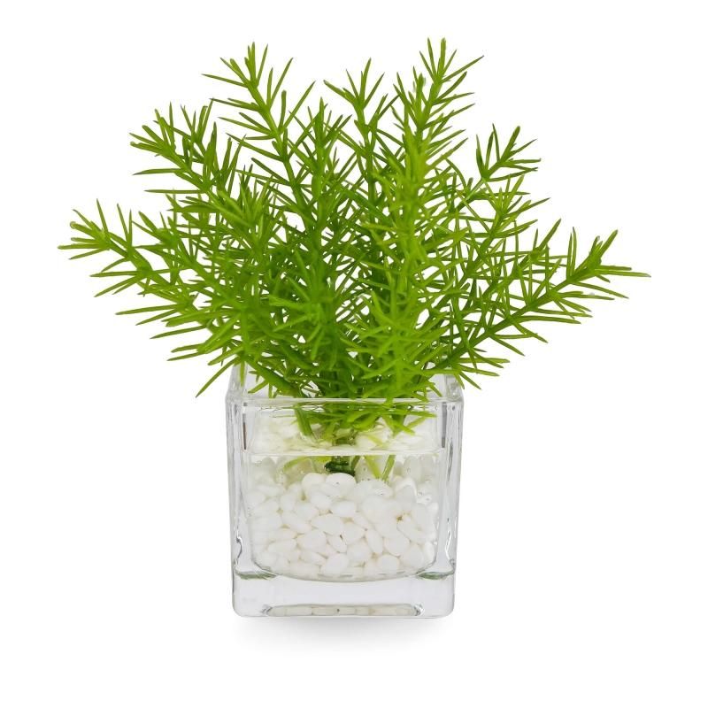 フェイクグリーン(人工観葉植物)商品一覧│フェイクグリーン フェイクグリーン(人工観葉植物)商品一覧│フェイクグリーン