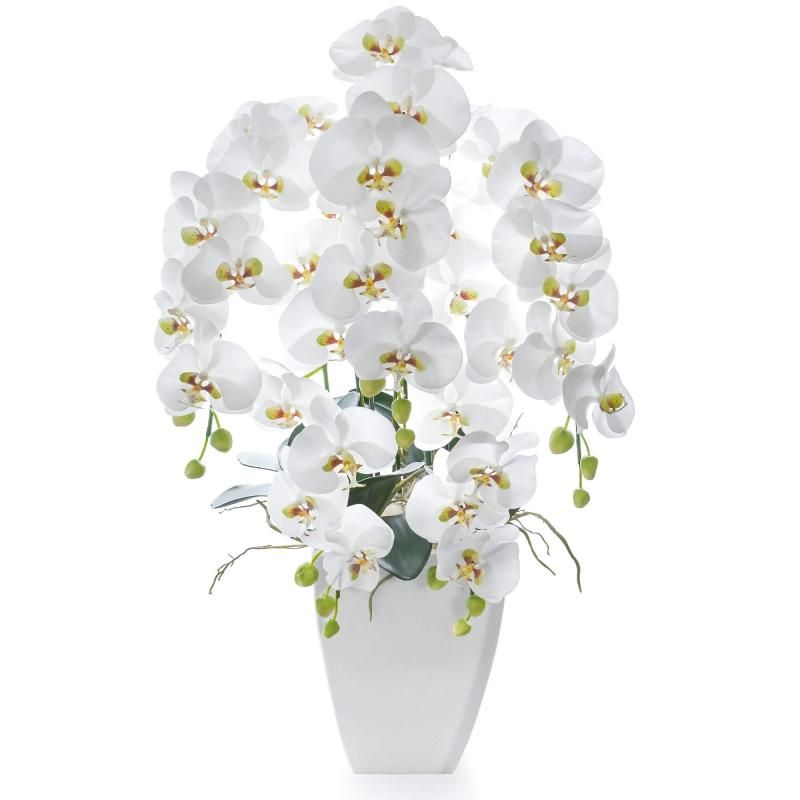 供花 仏花 胡蝶蘭 フラワーアレンジメント | 造花専門店プリマ