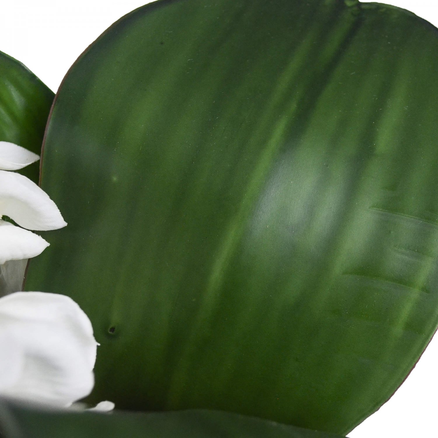 胡蝶蘭 シリンダー  造花 フラワーアレンジメント 