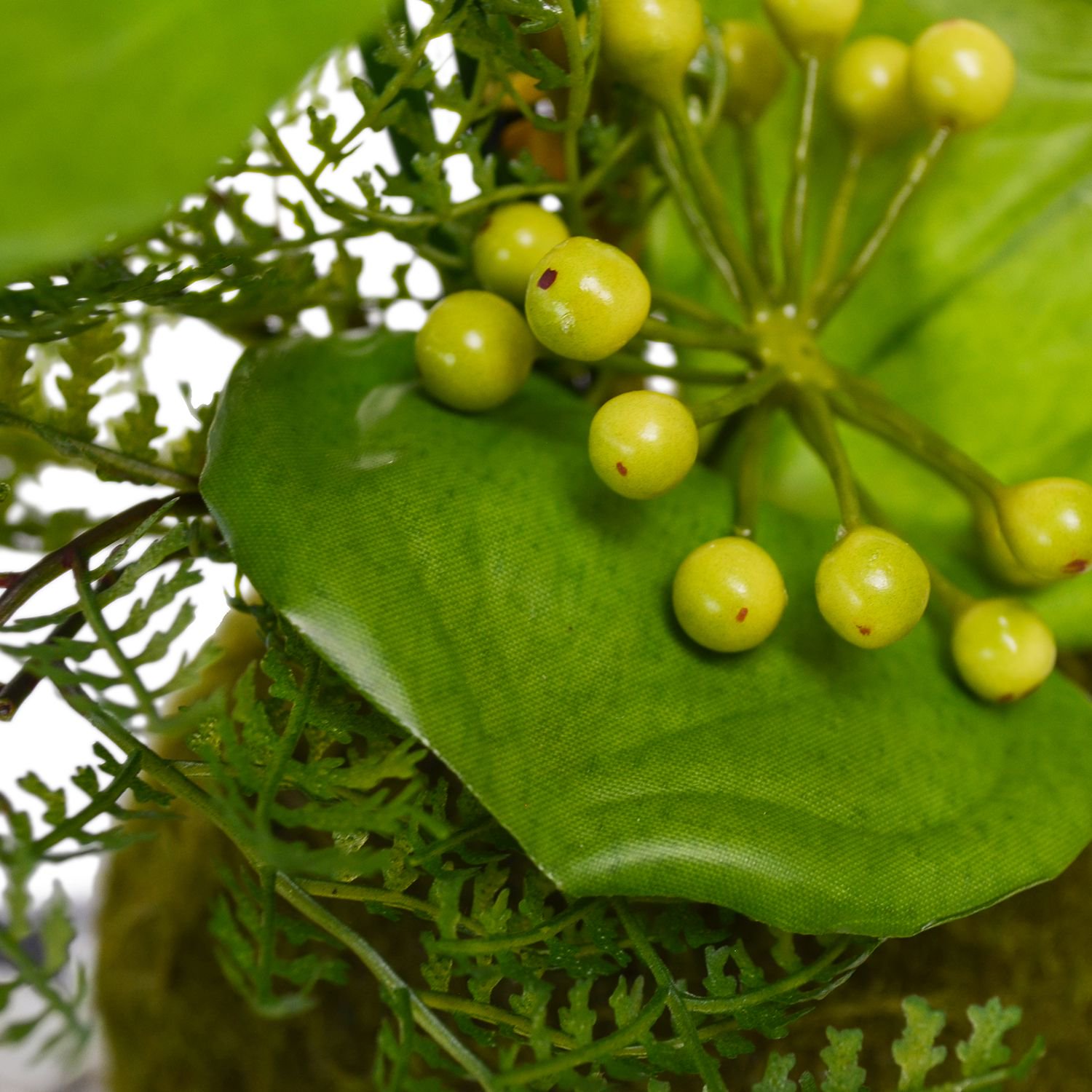 サンキライ 寄せ植え苔玉 黒岩皿 CUPBON 盆栽 フェイクグリーン